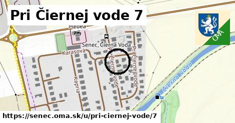 Pri Čiernej vode 7, Senec