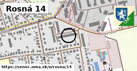 Rosná 14, Senec