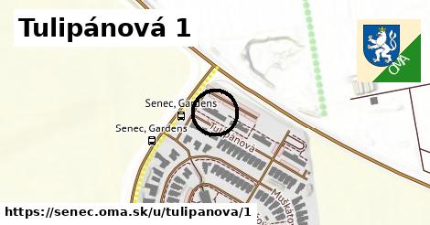Tulipánová 1, Senec