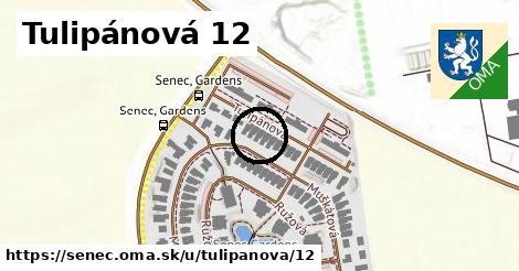 Tulipánová 12, Senec