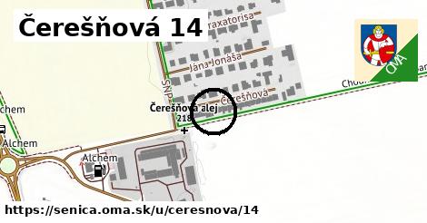 Čerešňová 14, Senica