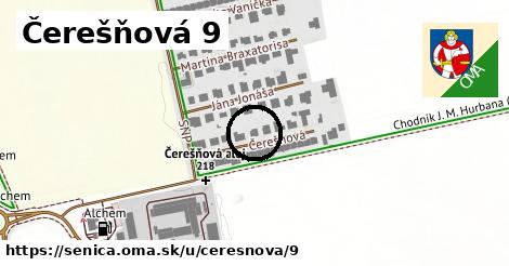 Čerešňová 9, Senica