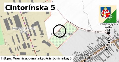 Cintorínska 5, Senica