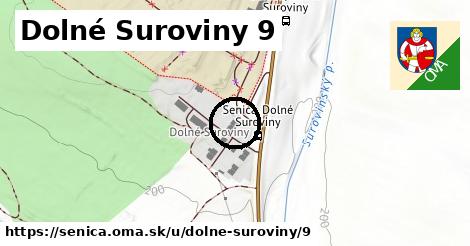 Dolné Suroviny 9, Senica