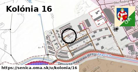 Kolónia 16, Senica