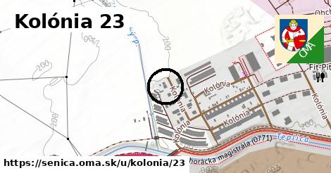 Kolónia 23, Senica