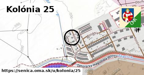 Kolónia 25, Senica