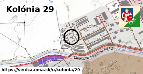 Kolónia 29, Senica