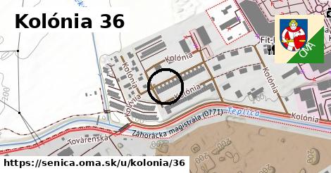 Kolónia 36, Senica