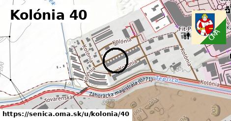 Kolónia 40, Senica