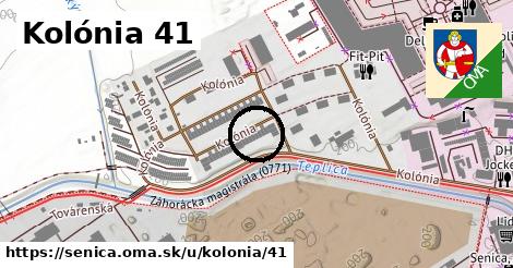 Kolónia 41, Senica