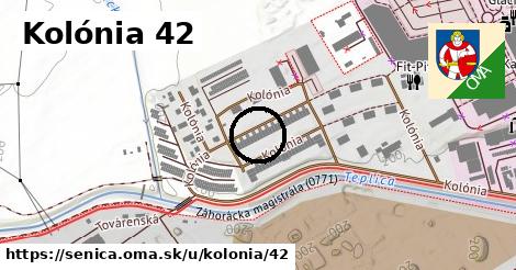 Kolónia 42, Senica