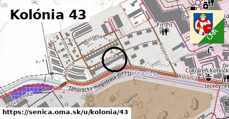 Kolónia 43, Senica