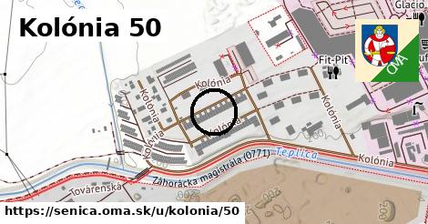 Kolónia 50, Senica