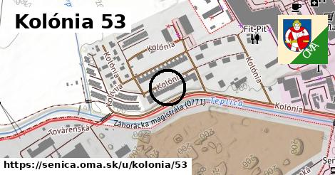 Kolónia 53, Senica