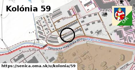 Kolónia 59, Senica