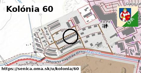 Kolónia 60, Senica