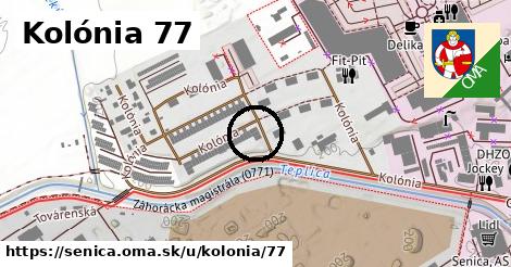 Kolónia 77, Senica