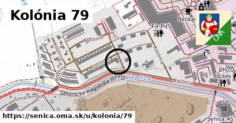 Kolónia 79, Senica