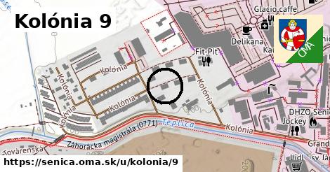 Kolónia 9, Senica