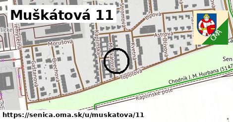 Muškátová 11, Senica