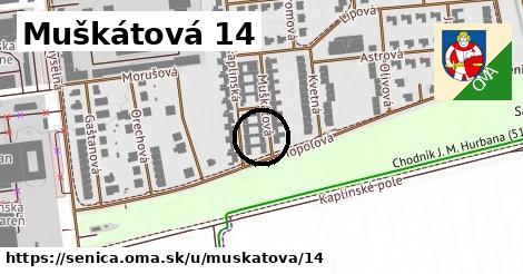 Muškátová 14, Senica