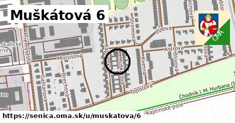 Muškátová 6, Senica