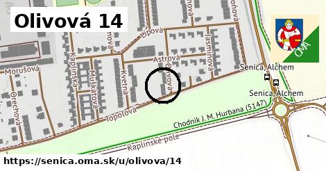 Olivová 14, Senica