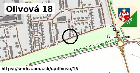 Olivová 18, Senica