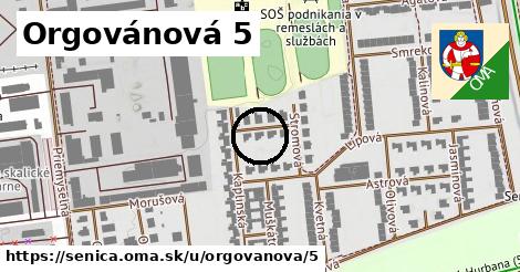 Orgovánová 5, Senica