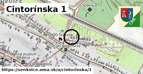 Cintorínska 1, Šenkvice