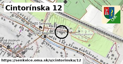 Cintorínska 12, Šenkvice