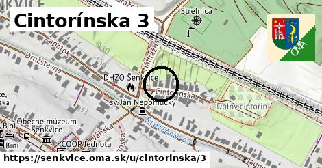 Cintorínska 3, Šenkvice