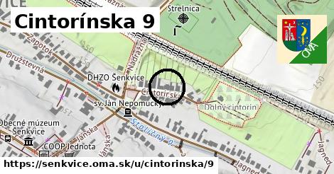 Cintorínska 9, Šenkvice