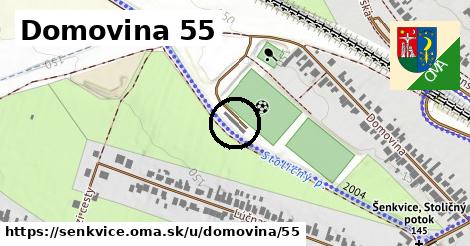 Domovina 55, Šenkvice