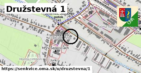 Družstevná 1, Šenkvice