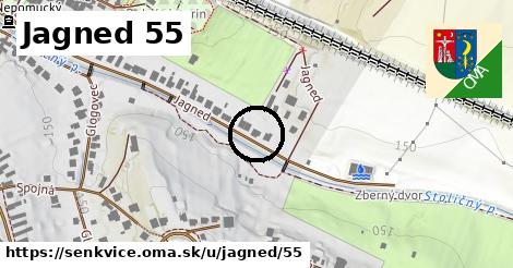 Jagned 55, Šenkvice