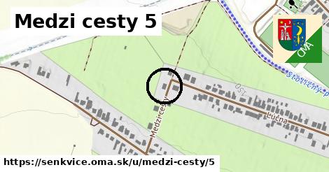 Medzi cesty 5, Šenkvice