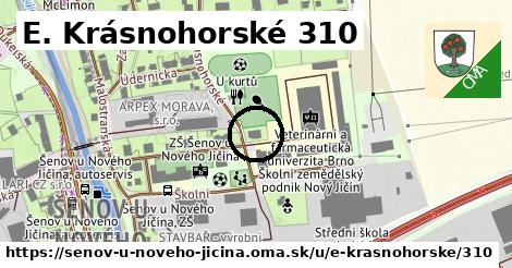 E. Krásnohorské 310, Šenov u Nového Jičína