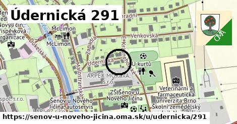 Údernická 291, Šenov u Nového Jičína