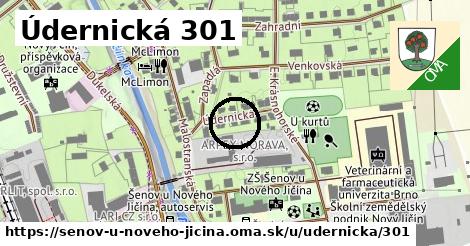 Údernická 301, Šenov u Nového Jičína