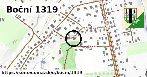 Boční 1319, Šenov