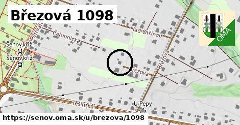 Březová 1098, Šenov