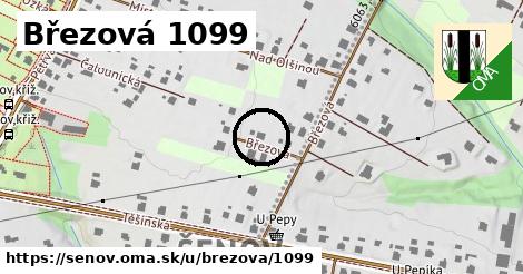 Březová 1099, Šenov
