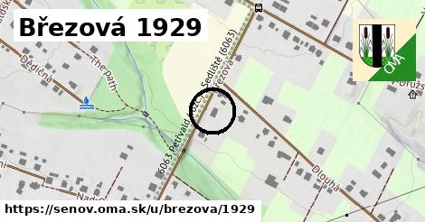 Březová 1929, Šenov