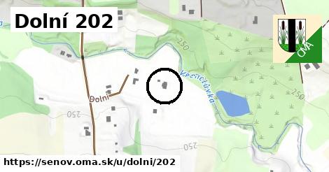 Dolní 202, Šenov