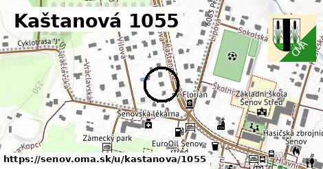 Kaštanová 1055, Šenov