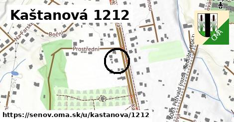 Kaštanová 1212, Šenov