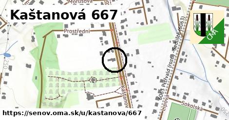 Kaštanová 667, Šenov