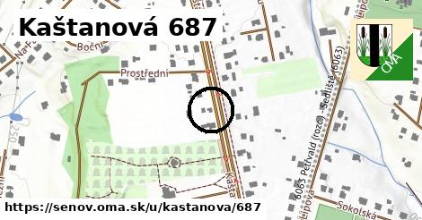 Kaštanová 687, Šenov